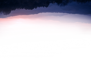 environmental-nonprofit-24