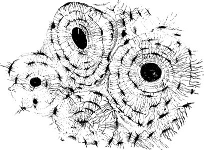 Original_shutterstock_1677806419